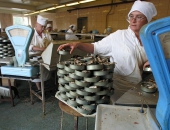 Vairums Latvijas zivrūpnieku ir atsākuši darbu; krasi sarukušas to ražošanas jaudas