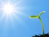 Latvijā šogad būtiski audzis bioloģisko lauksaimniecību skaits