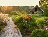 Lucavsalu tomēr nepārdos izsolē