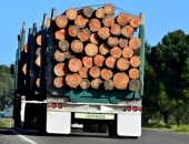 Latvijas meža produkcijas eksports divos mēnešos pieaug par 2,5%