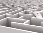 Kāpēc nepieciešams evakuācijas plāns?