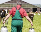 LIAA eksporta veicināšanas nauda jānovirza konkrētiem piensaimnieku mērķa tirgiem