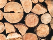 Kokrūpnieki šogad paredz jaunu eksporta rekordu