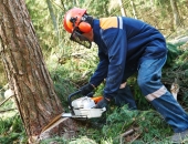 VDI pārbaudīs darba aizsardzības ievērošanu mēbeļu ražotāju un kokapstrādes uzņēmumos