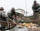 Atbalstīs inovāciju ieviešanu zivsaimniecībā un akvakultūrā