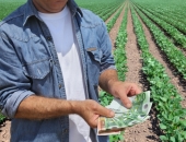 LAD nākamnedēļ sāks pieņemt pieteikumus platību maksājumiem