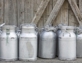 Piena ražotāju zaudējumi pieaug, arī cūkgaļas nozarē situācija ir smaga