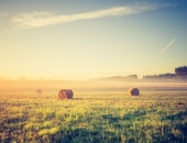 Ieviesta administratīvā atbildība par lauksaimniecības zemes neizmantošanu