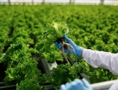 Zemkopības ministrija plāno ļaut PVD sodīt "zaļā iepirkuma" prasību pārkāpējus