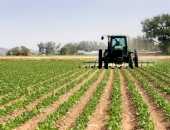 Precizēta atbalsta piešķiršanas kārtība jaunajiem lauksaimniekiem uzņēmējdarbības uzsākšanai