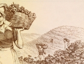 Jaunajiem lauksaimniekiem būs pieejami astoņi miljoni eiro uzņēmējdarbības sākšanai