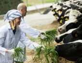 EK piensaimnieku atbalstam piešķir 500 miljonus eiro, Latvijai - nepilnus 10 miljonus