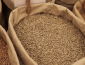 Krievija kļūs par pasaulē lielāko kviešu eksportētāju