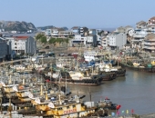 Latvijas uzņēmumi ieinteresēti attīstīt sadarbību ar Ķīnas lielāko ostas pilsētu Ningbo