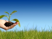 Nākamgad netiks ieviesti ierobežojumi attiecībā uz mikrouzņēmumu nozarēm