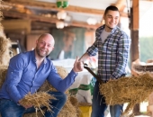 Piena iepirkuma cena atsāk kāpumu; šogad darbu pārtrauca tikai 1% piensaimniecību