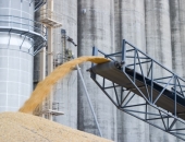 Straujais eksporta apmēru pieaugums augustā ir pozitīvs, bet vienreizējs efekts