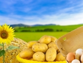 Paplašina bioloģiskās produkcijas izplatīšanas iespējas