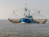 Garneļu audzētājs "FishBode" nākotnē plāno attīstīt eksportu uz Skandināvijas reģiona valstīm