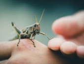 Noskaidrots konkursa "Biznesa ekspresis" Kurzemes uzvarētājs