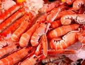 Varēs saņemt atbalstu garneļu audzēšanai