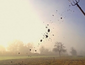 Sākas pieteikšanās konkursam "Laukiem būt!"