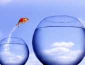 Kā eksportēt mazam uzņēmumam?