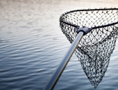 "Ķesele" laba grāmatveža makšķerēšanai