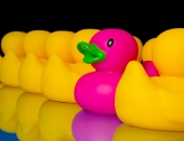 Līderībai pa pēdām