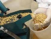 "Dobeles dzirnavnieks" sāk ražot bioloģisko lopbarību