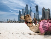 Paraksta memorandu, lai pavērtu plašākas iespējas Latvijas produkcijai nonākt AAE