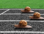 Baltijas tirgiem piezagusies pasivitāte