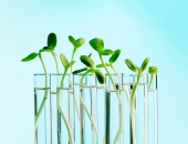 Stāsts par BIOEKONOMIKU