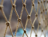 Atbalsta rosinājumu pievienoties ES dalībvalstu ciešākai sadarbībai Eiropas Prokuratūras izveidē 