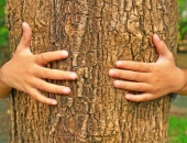 Apdrošināšanas līgumu īpašā būtība