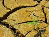 Ierosināta lieta par normām, kas paredz izmaiņas piespiedu zemes nomas maksas aprēķināšanā