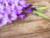 Vai skolnieka vecākiem ir tiesības uz apmaksāto brīvdienu 1. septembrī? 