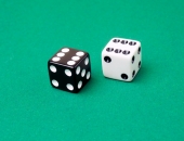 Fiziskās personas  un sabiedrības dalībnieka saistības ir jānošķir