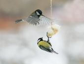  Saeima atbalsta strīda izskatīšanas efektivizēšanu maksātnespējas procesā