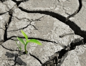 Strādās pie problēmjautājumiem par piespiedu zemes nomas maksu dalītā īpašuma attiecībās 