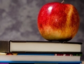 Vērtēs Augstskolu likuma normu atbilstību Satversmei