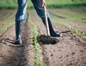 NĪN papildlikmes maksāšanas pienākums neizbeidzas ar īpašuma atsavināšanu