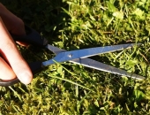 Lietā par platību maksājumiem aptur tiesvedību