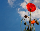 Uz vasaras laiku jāpāriet 28. martā