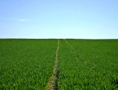 Uzliek sodu par negodīgu zemes nomas maksas piedziņu