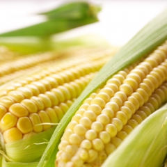 iFinanses.lv Bizness 