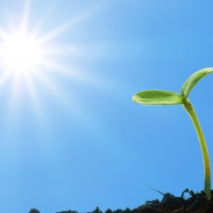 iFinanses.lv Bizness 