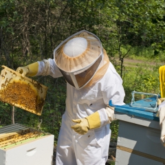 iFinanses.lv Bizness 