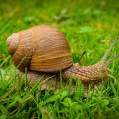 iFinanses.lv Bizness 