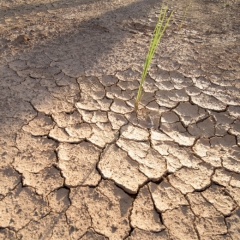 iFinanses.lv Bizness